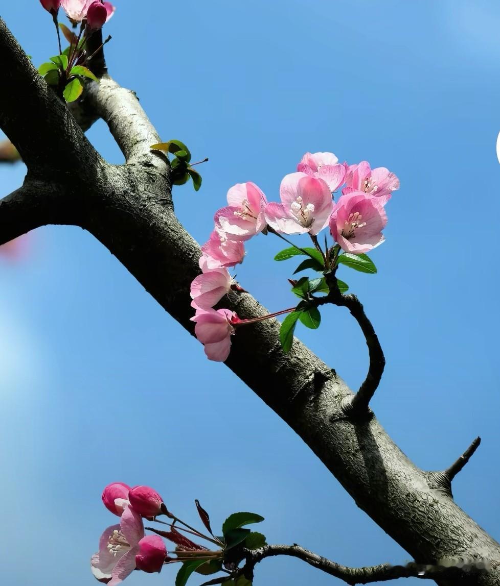 晒图笔记大赛当你看清自己的伤疤，并依然选择爱它时，那便是最深刻的治愈。