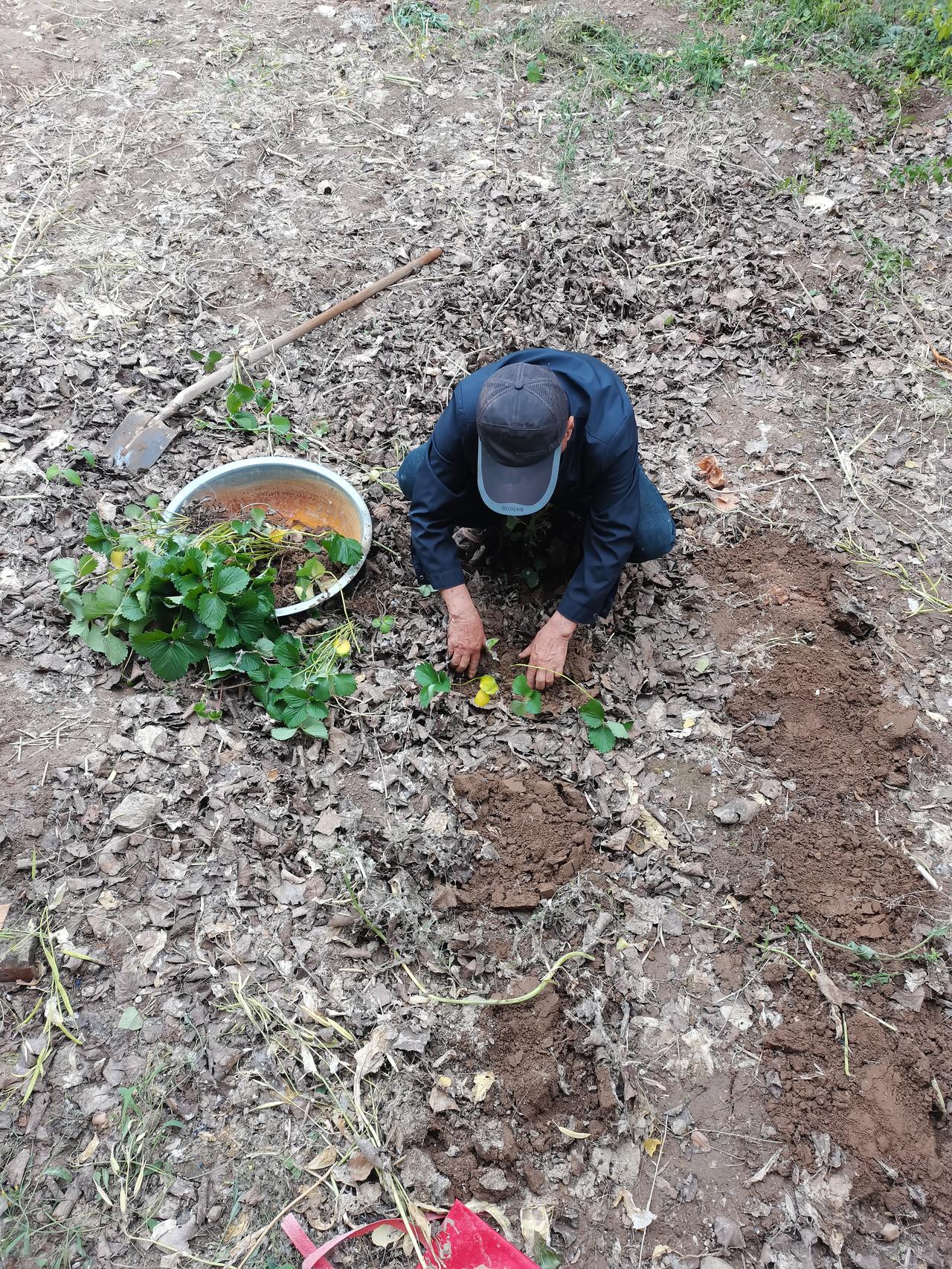 我认为好好休息，把岗位留给那些年轻人，年轻的时候努力工作，年老了退休以后就享受人