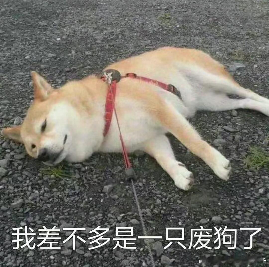 已废，已下班[苦涩] 