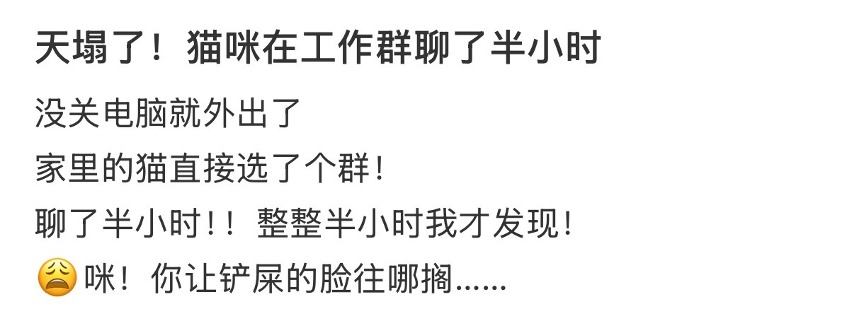天塌了！猫咪在工作群聊了半小时 