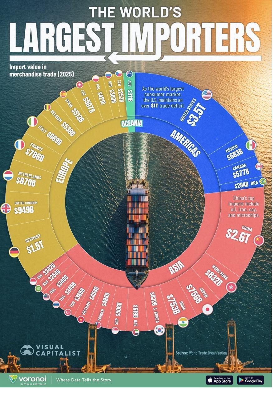 外媒：2025年全球最大进口国排名：美国以3.5万亿美元高居榜首

根据世界贸易