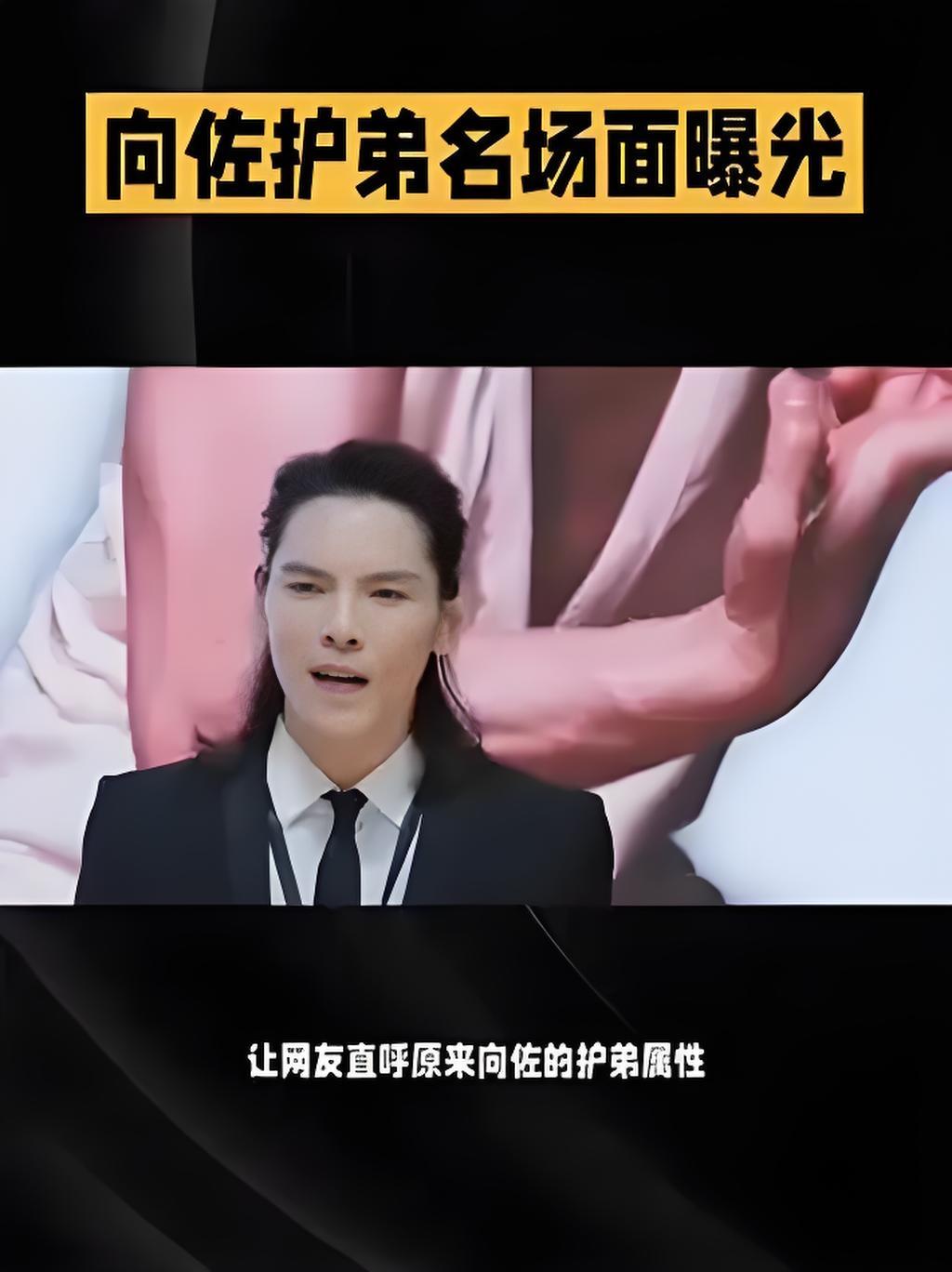 向太的爆料撕开“留学光环”：向佑遭吐痰歧视，9岁向佐挥拳反击致对方骨折，这一拳不