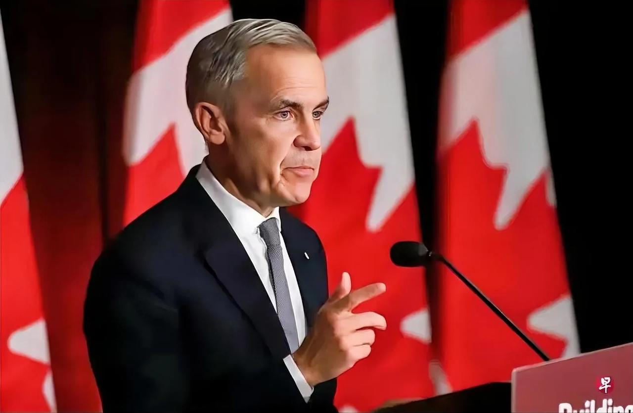 最新消息：1月16日，加拿大和中国达成“电动车换油菜籽”互降关税初步协议。加拿大