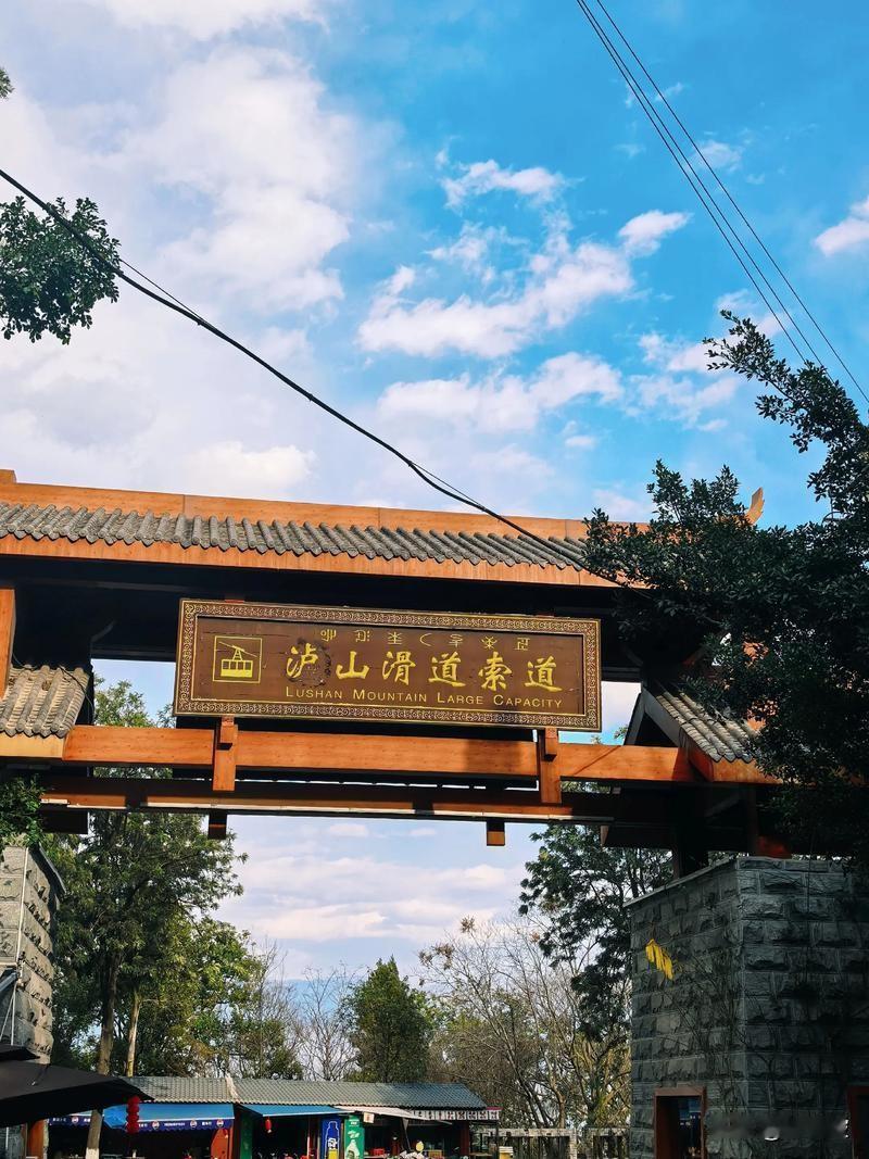 动物园的自然保护区内大师兄生长得非常活力四射，活泼可爱。
