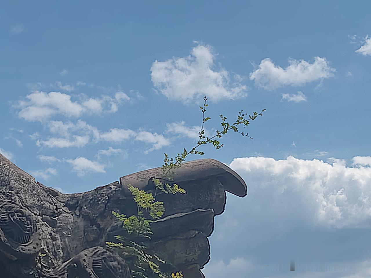 又是崭新的一天
一天好心情
读书
写作
因为
我知道
写作是生产
是助人为乐