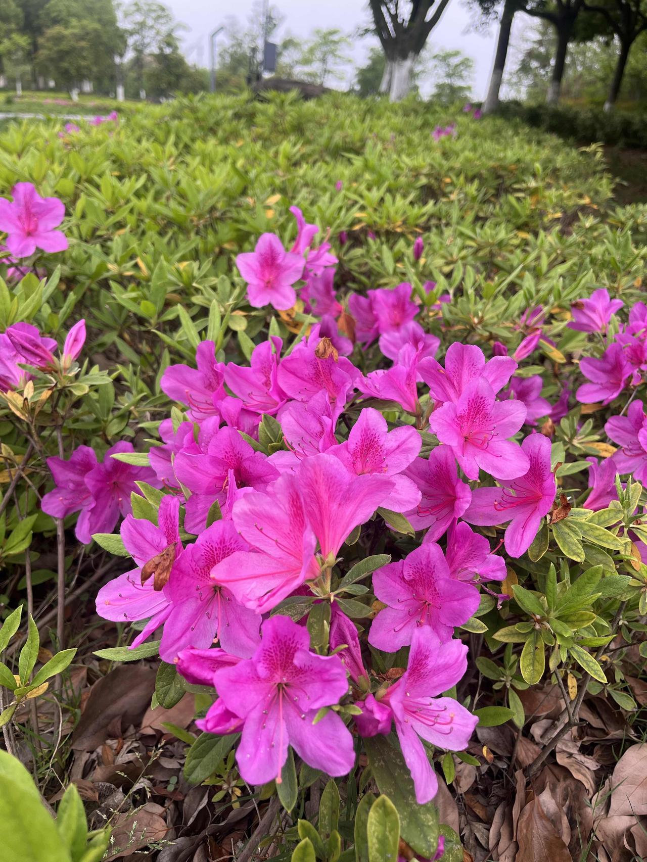 别急着吃药，也别猛撸铁——顶级养生就一句话：离烂人烂事远一点。

你生一场气，三