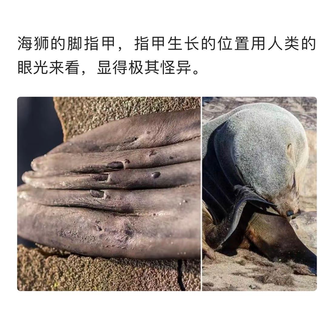 世界的期末