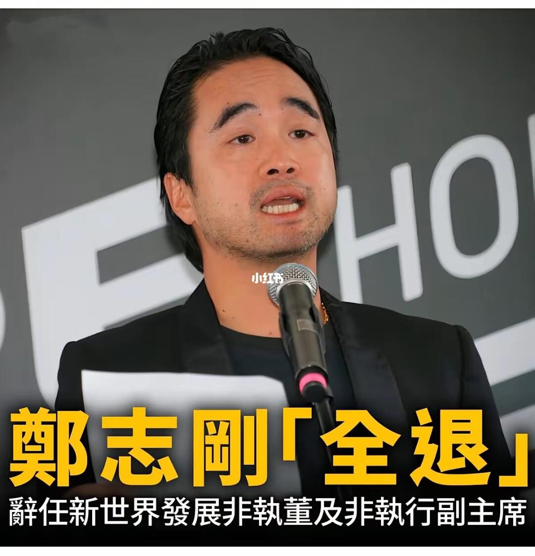 郑志刚「全退」新世界主要职务 日前称接掌集团时已继承巨债。 ​新世界发...