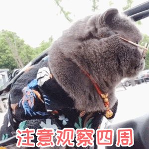 戴智能眼镜打电话在别人眼里是这样的我觉得对于近视的人来说，戴智能眼镜打电话真的方