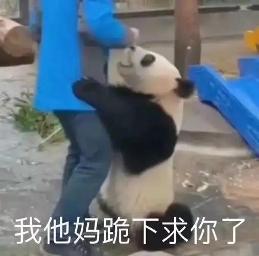 车帆仕已确认，今年极氪不会有进化日。于情讲:当下极氪重心，一方面是产品极氪9X，