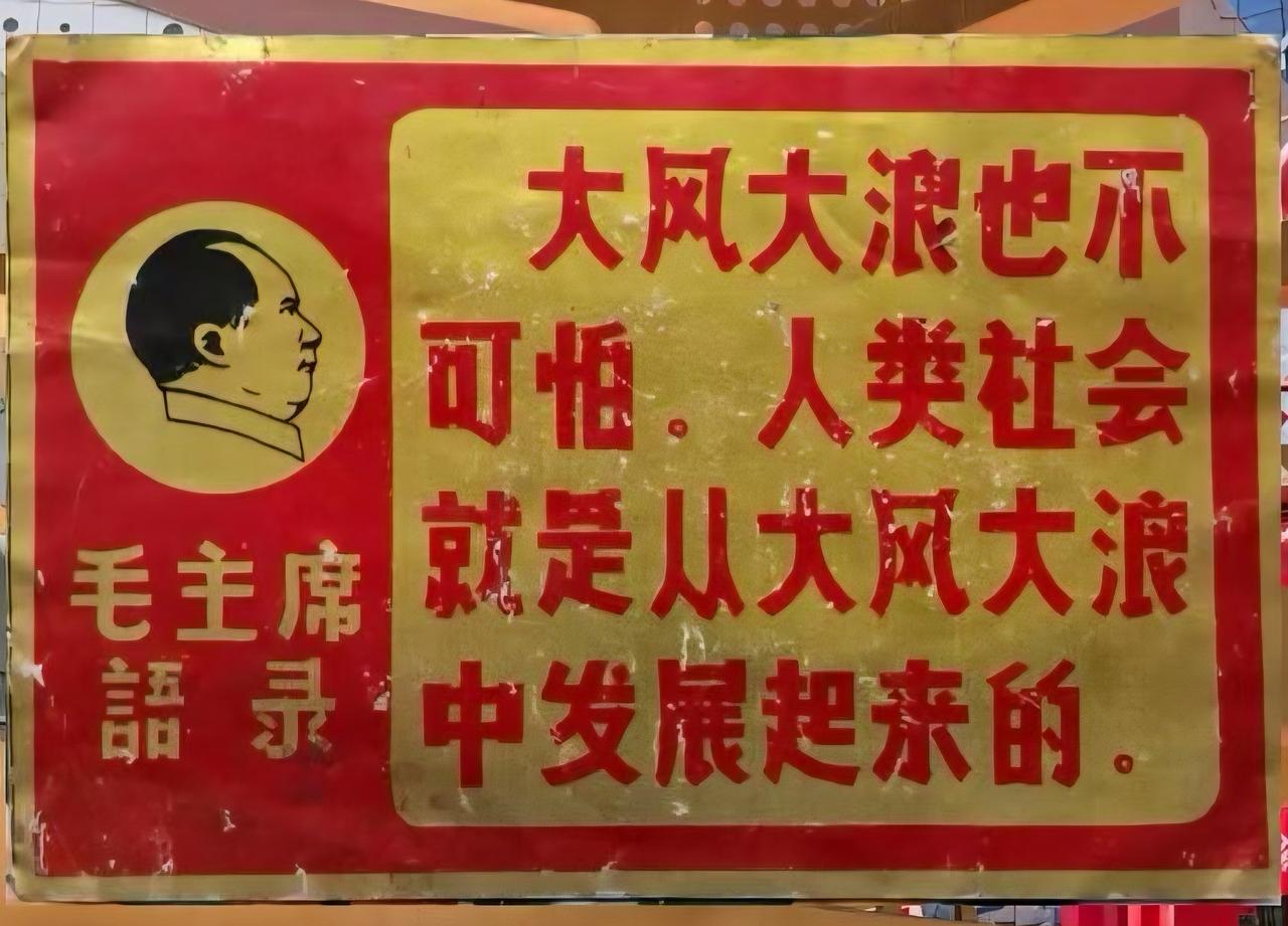 不过过去多少年，看到伟人的语录心里总觉得莫名的兴奋！老人家把话说透了。“大风大浪