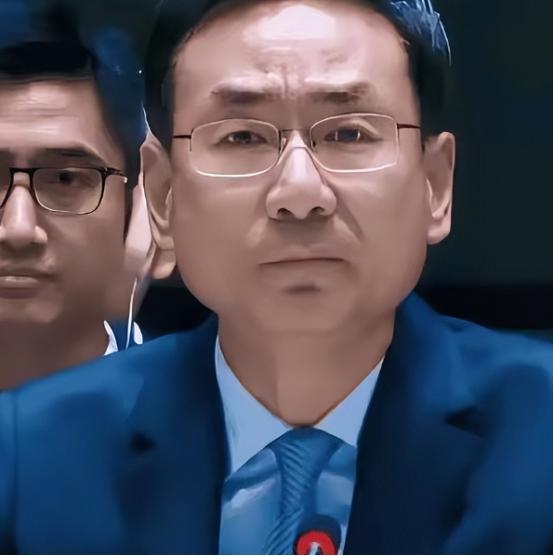 耿爽被免去常驻联合国副代表职务，信息已在官网撤下，有关他的消息，今后一段时间，我