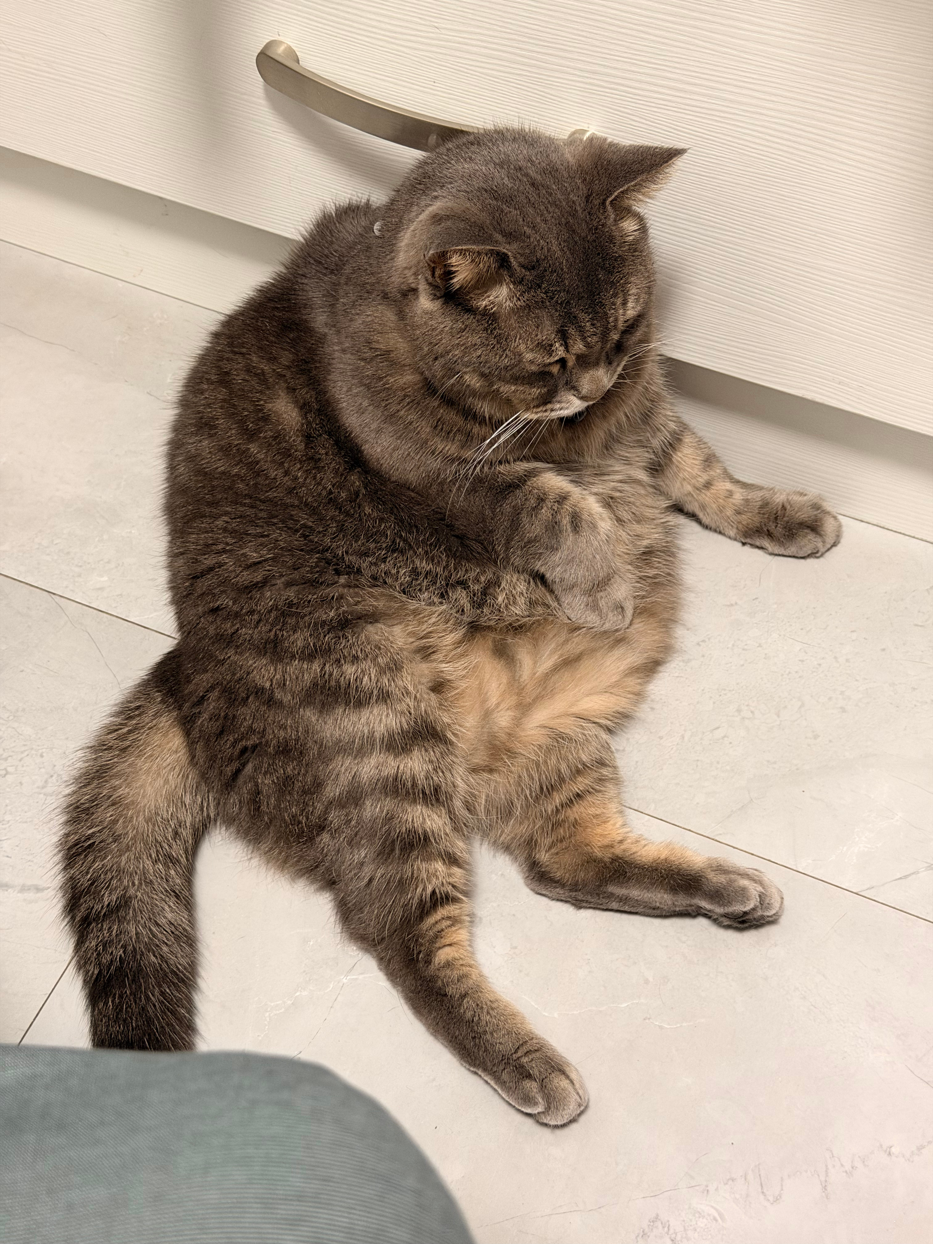 晚安家人们～今天好困啊，早睡早起吧～