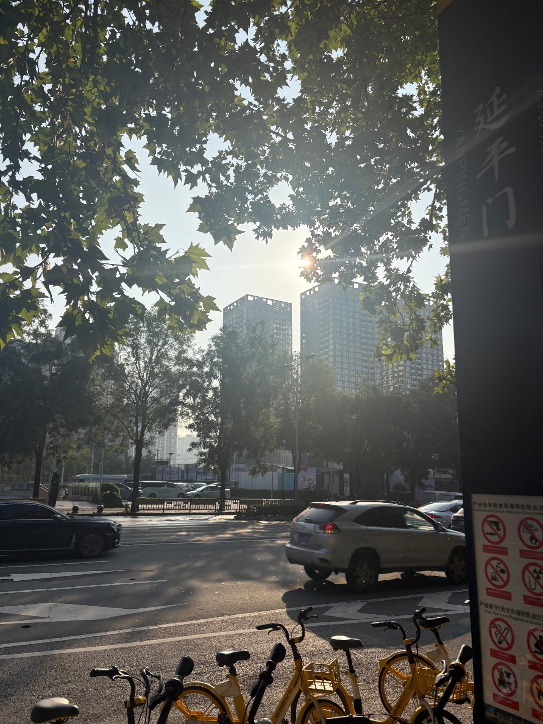 逆光之王名不虚传。 ​​​