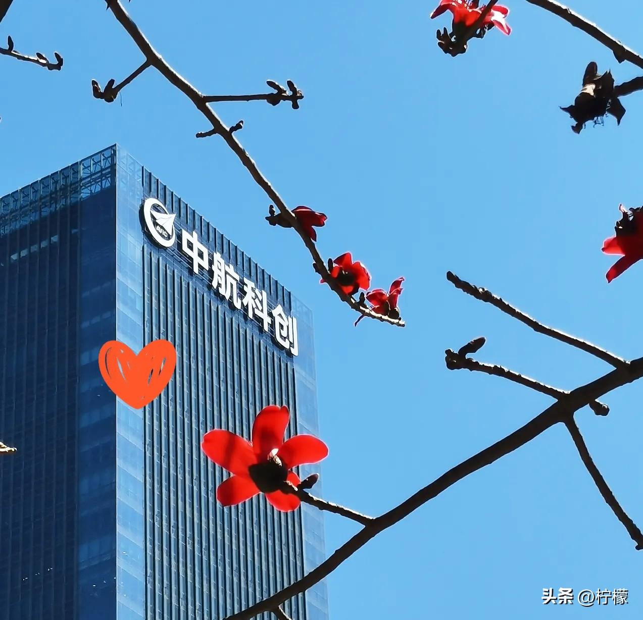 女儿发来消息说收到offer了。
我一看，激动得立马打电话过去祝贺，说晚上我请客