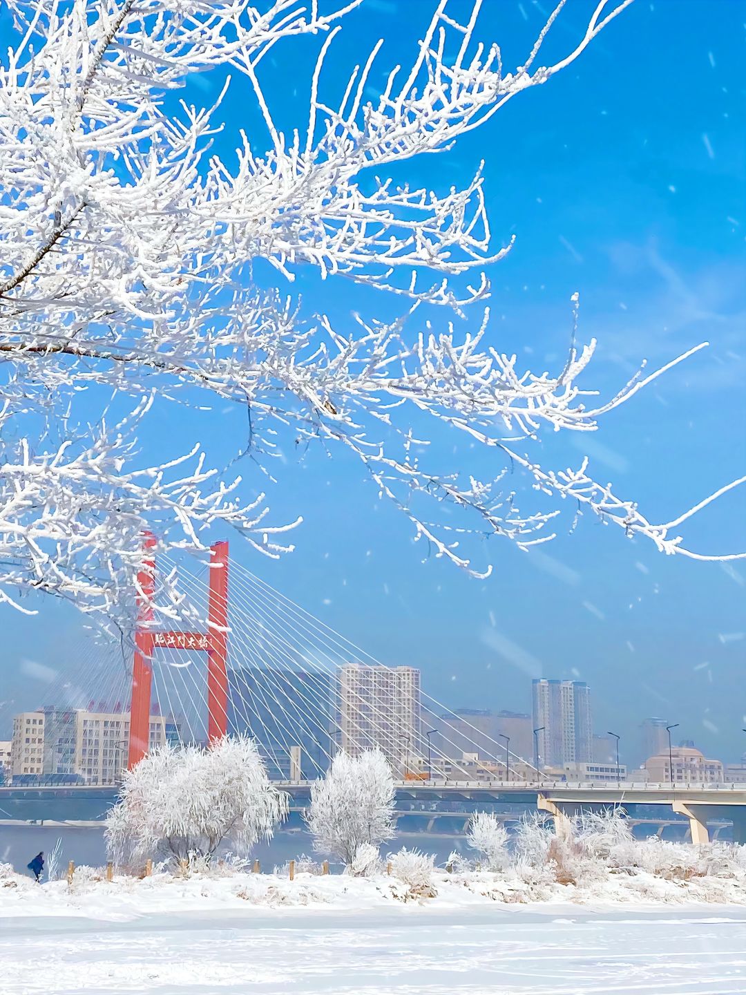 为何大家都去哈尔滨，不去吉林看雾凇滑雪啊