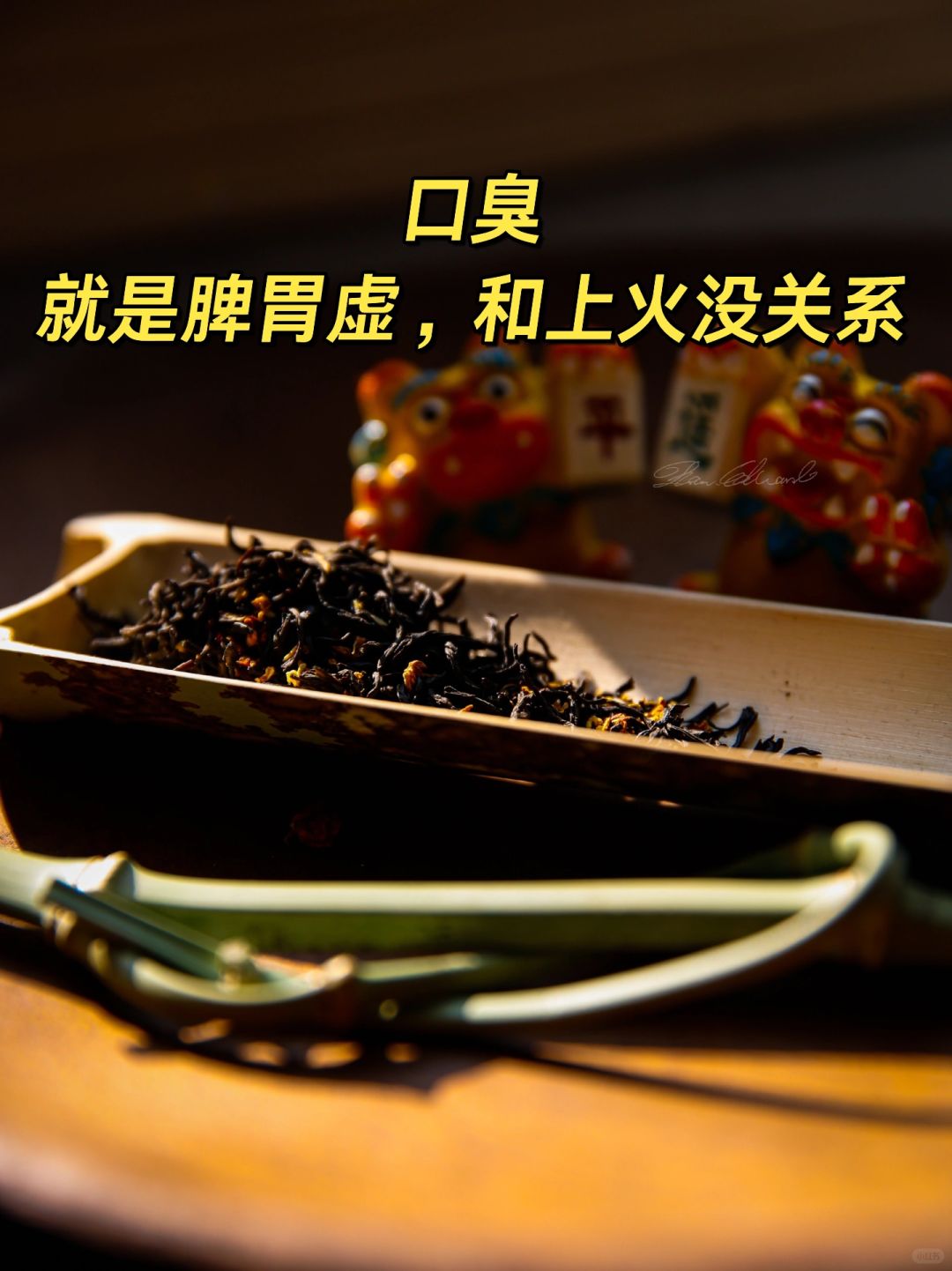 口臭，就是脾胃虚，和上火没关系💥