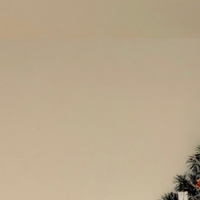 0000怀揣热爱与初心，日子便不会平庸，无论岁月如何流转，都能焕发生机。以追求为