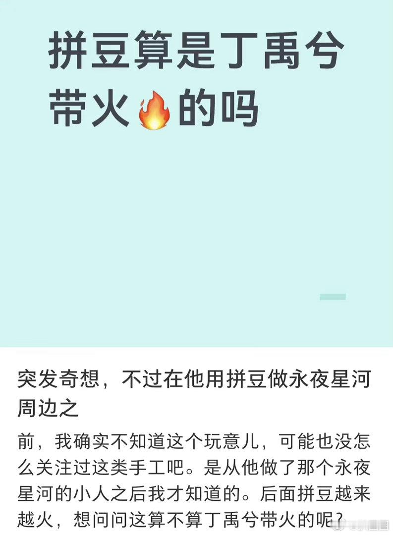 拼豆是丁禹兮带火的吗～