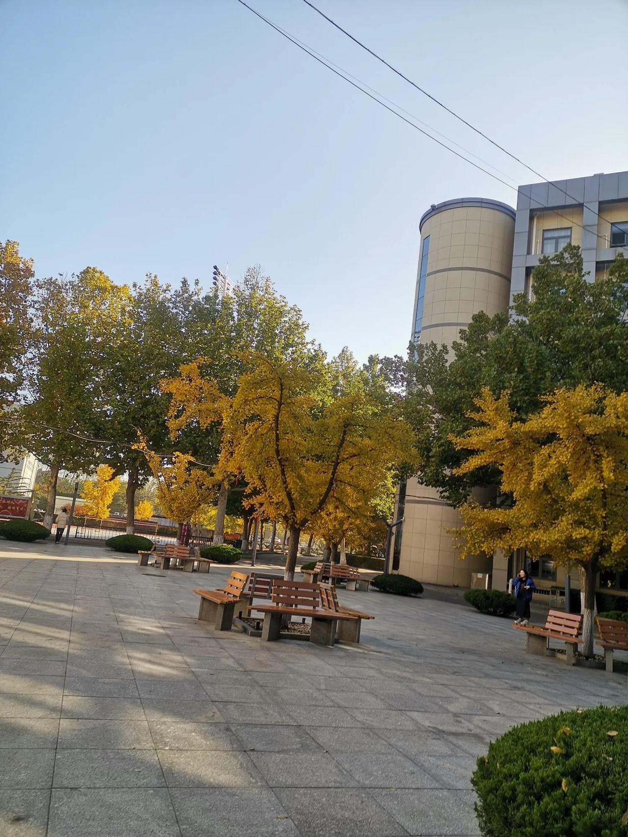 一边催生让女人生孩子；一边孩子大了，找工作35岁又嫌年龄大了。女人的出路在哪里？