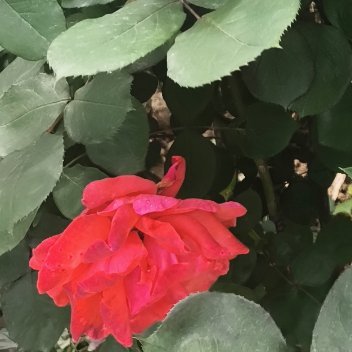 正能量人群教你如何应酬，独处教你如何自处，唯有独处，能让你摆脱虚荣，直面内心最本