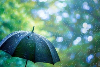 早起一场暴雨影响了出行，送小闺女到学校时差不多8点了。
着急忙慌的把车停在停车场