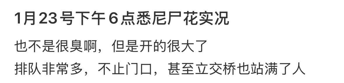 濒危尸体花盛开数千人排队参观 尸香魔芋？真实存在的……[傻眼] 