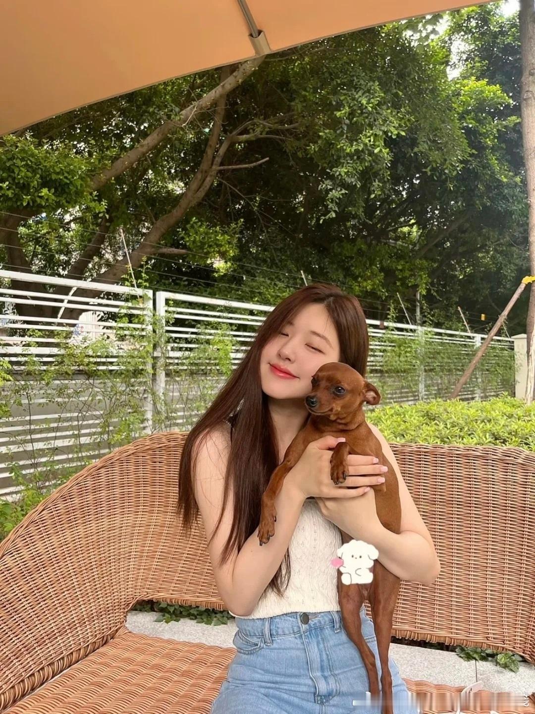 赵露思 zls赵露思许我耀眼 zls赵露思许妍 “藏污纳垢的地方 玫瑰悄然绽放 