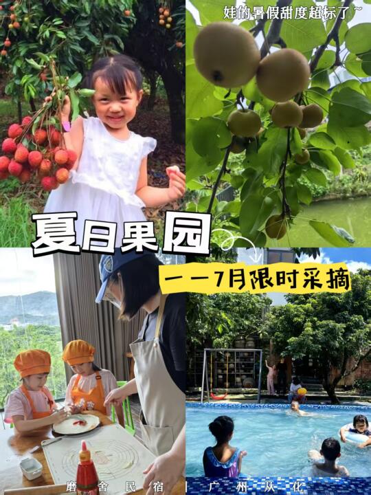 荔枝，沙梨熟了！采摘自由，夏日亲子时光