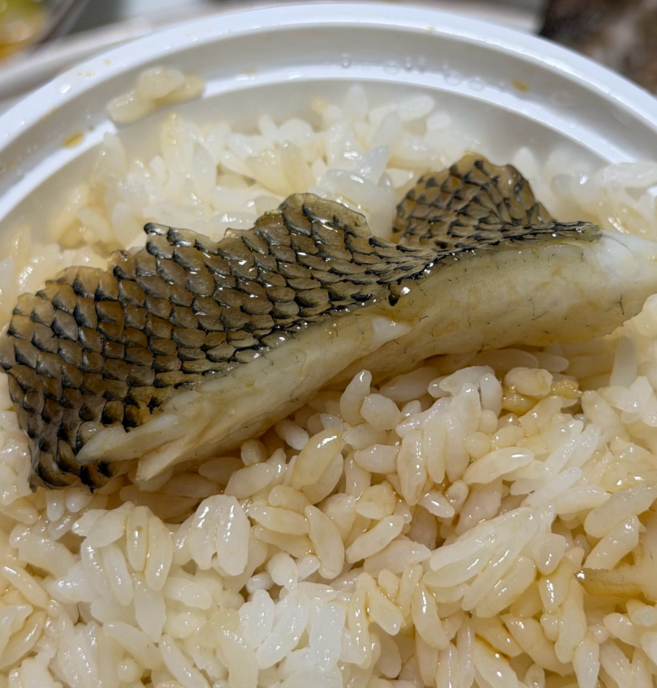 下大雨，整个下午都用来炖牛尾汤，用来做牛尾汤饭。法式炖法材料只有胡萝卜、圆葱和芹