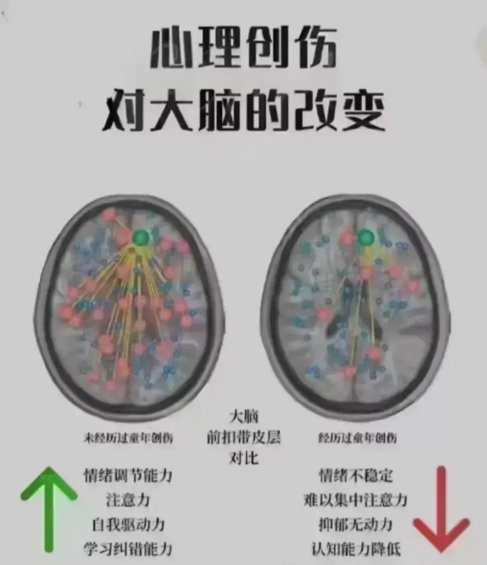 心理创伤与大脑 