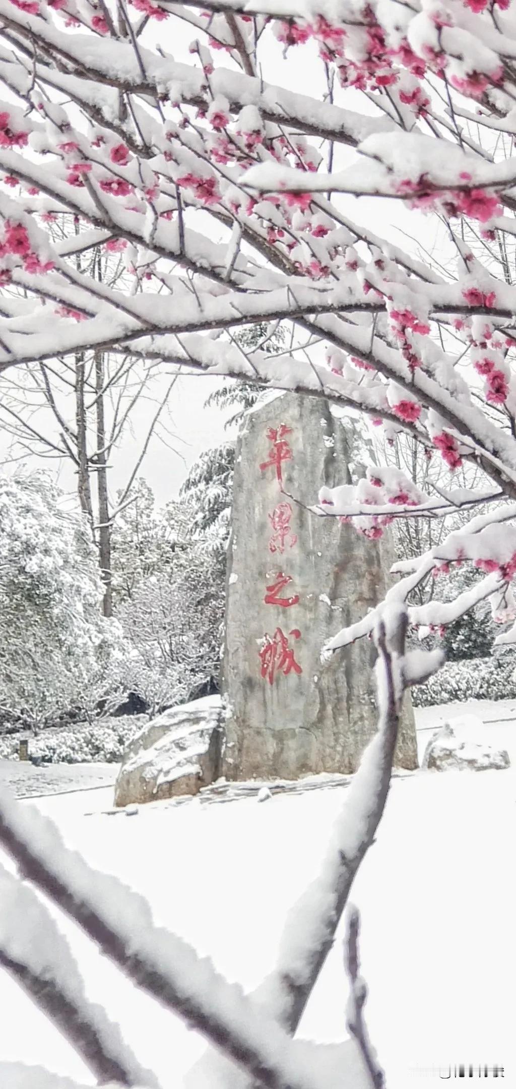 家门口一场特大的春雪

“惊蛰”第四天凌晨，
时值妇女节。
乌蒙山的昭通坝子，