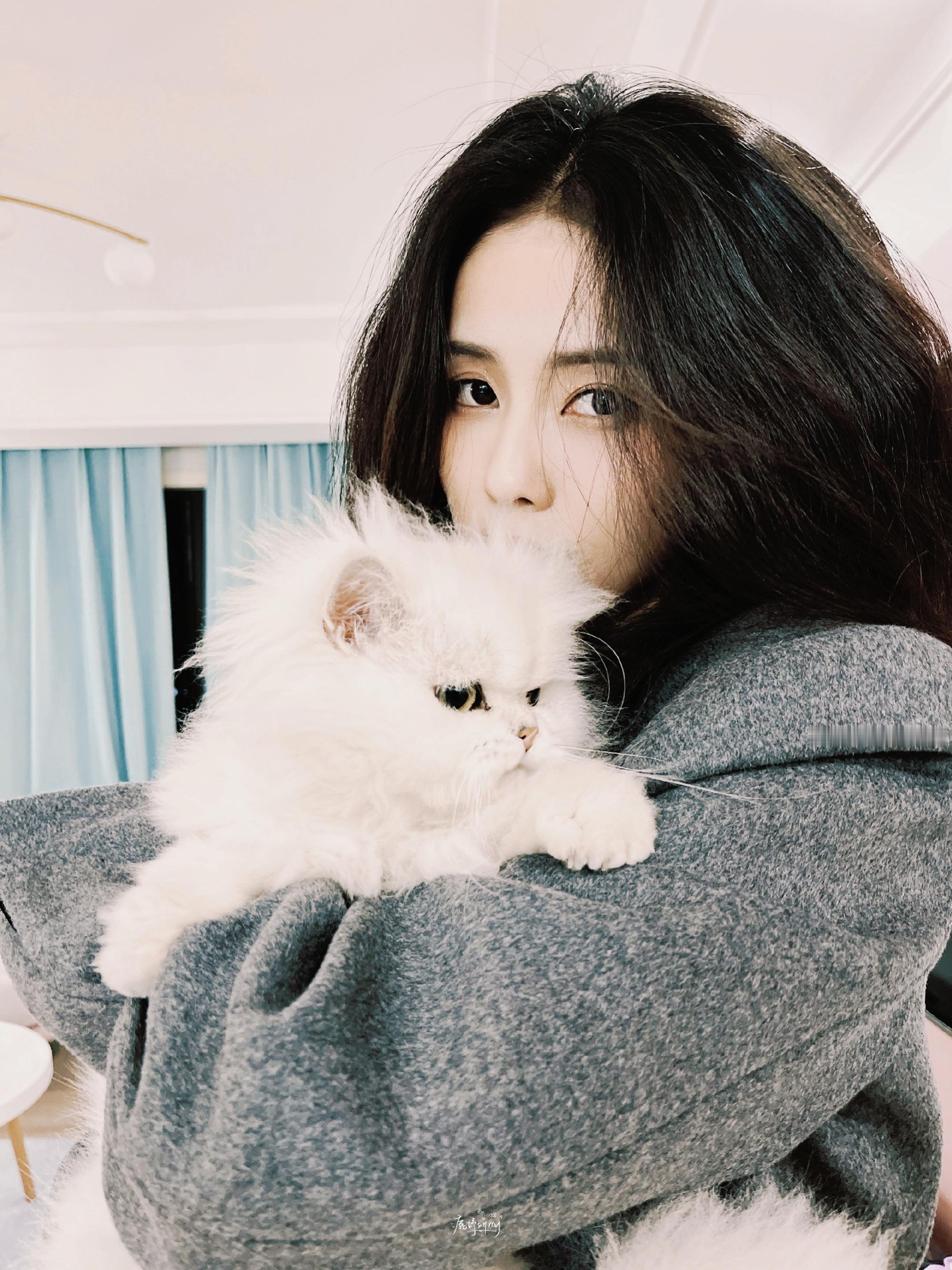 🐈‍⬛‧₊˚⋆☆₊⁺🦴🐾◎白鹿 ◎白鹿王韵娜 ​​​
