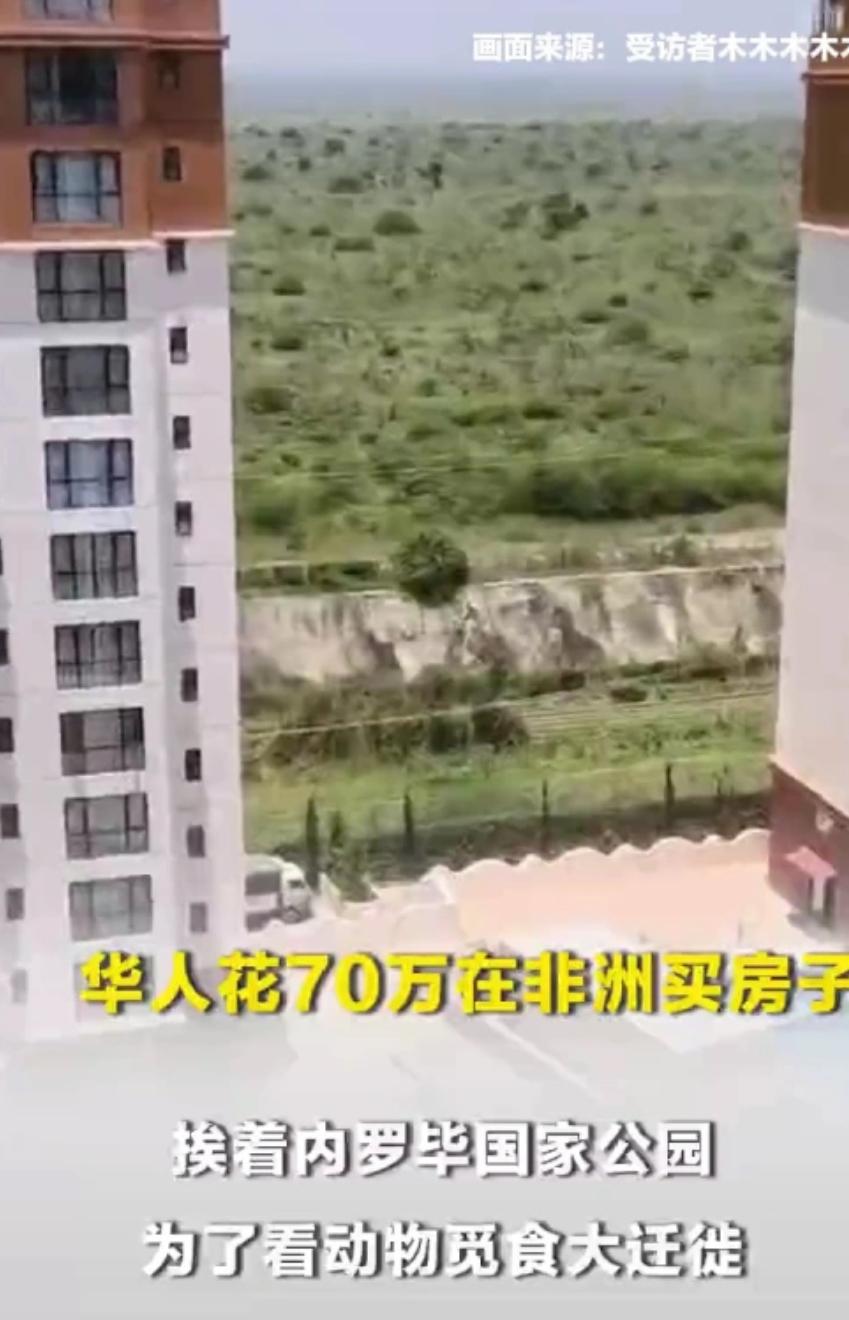 华人花费70万在非洲买房子
在肯尼亚生活的王女士在内罗毕国家公园，花了70万买了