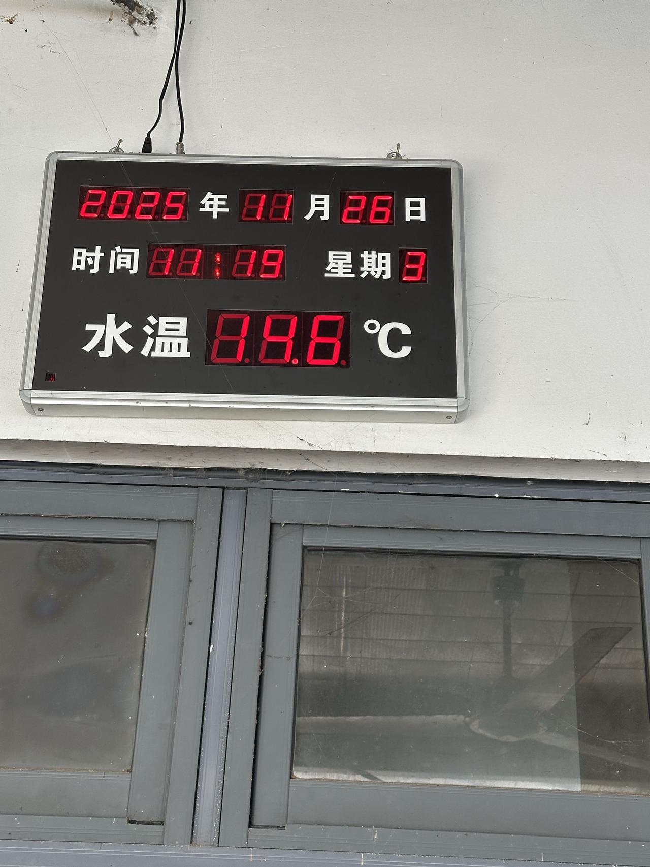 冬泳果然还是胖一点的厉害！

今天本来没打算多游，到游泳场一问，泳友们的“战绩”