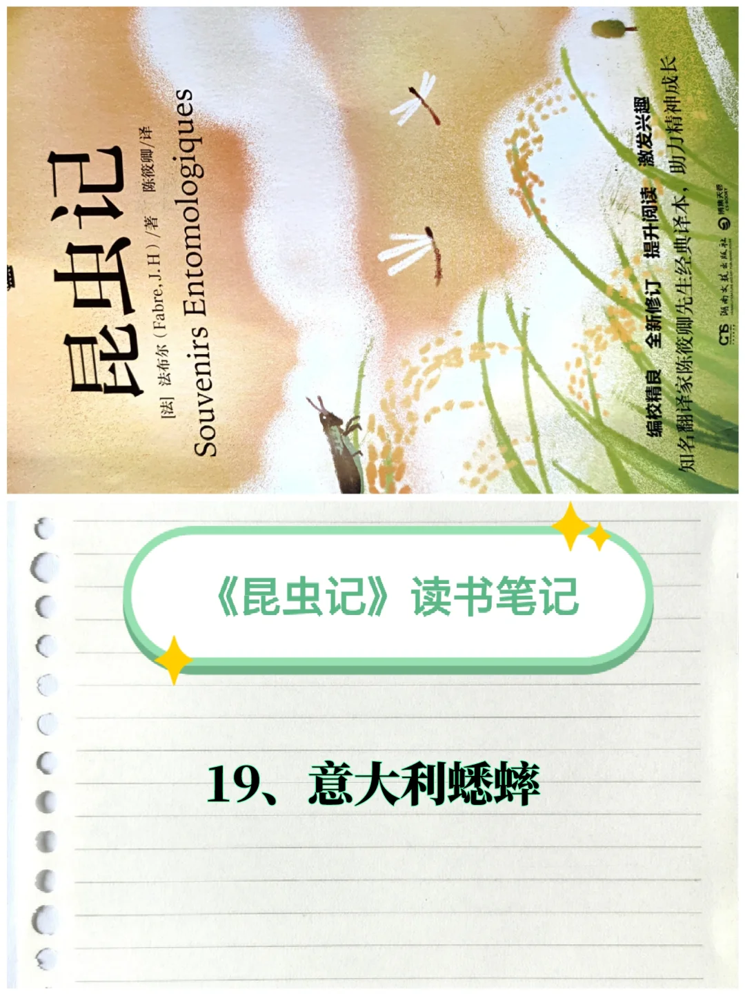 《昆虫记》笔记（19）：意大利蟋蟀