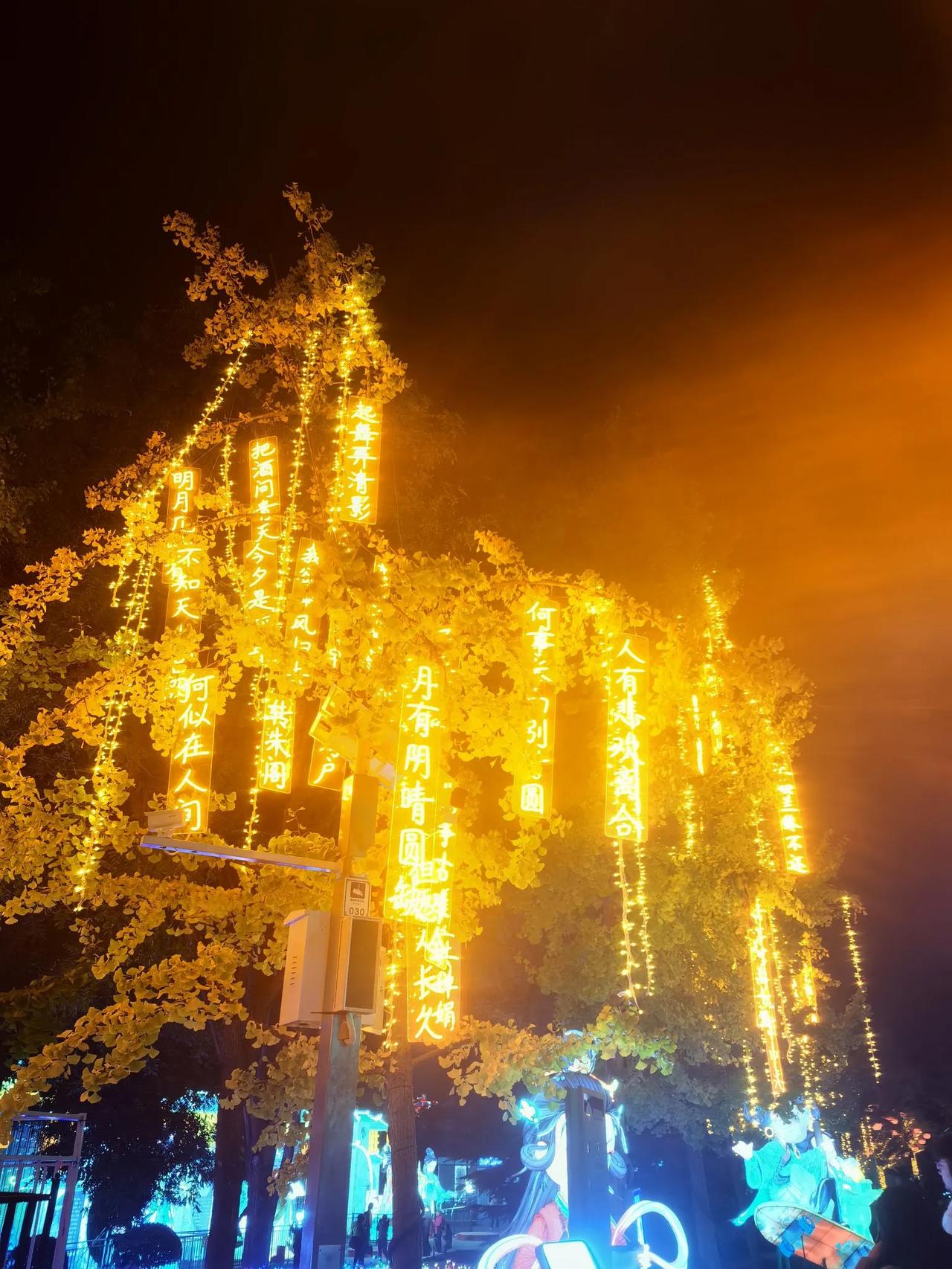 夜景很美！