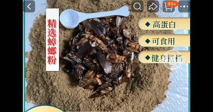 蟑螂粉成蛋白粉平替？营养师：蛋白含量被高估，部分成分难以消化