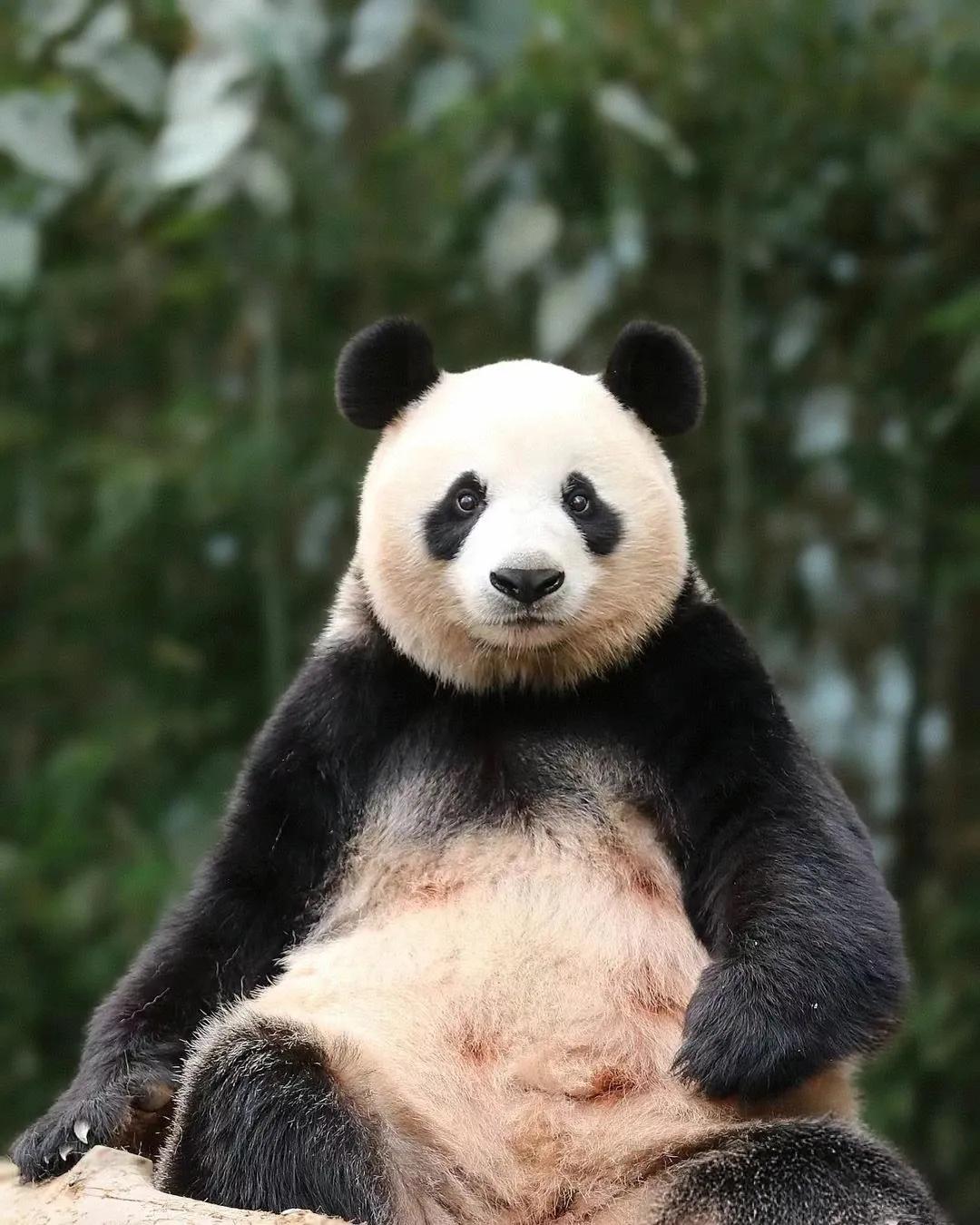 一开始是这样的（图一）
最后是这样的（图六）
从岁月静好到呲牙咧嘴
可能只需要一