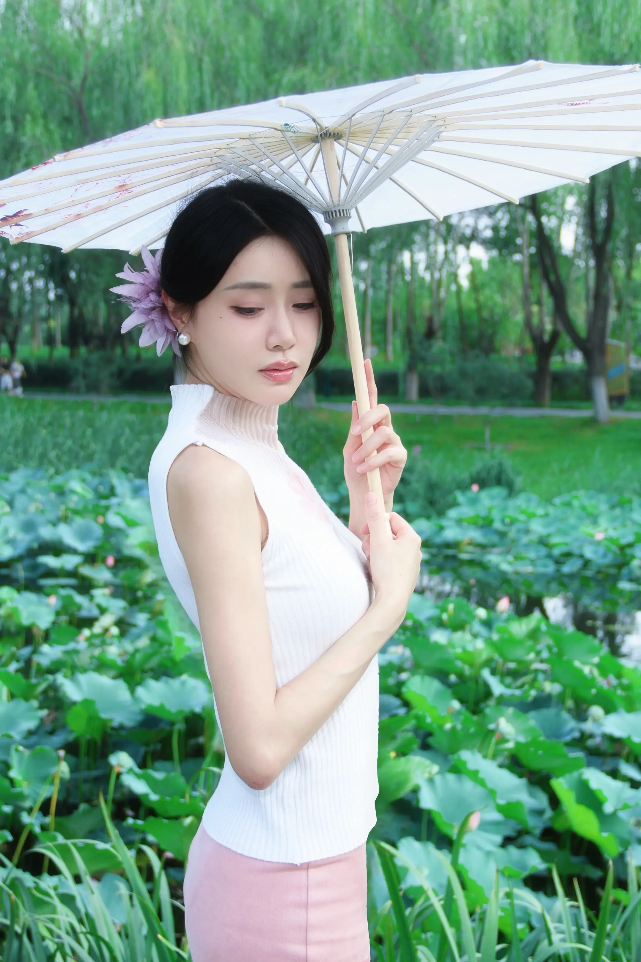 原来这就是小学课本里的“接天莲叶无穷碧”