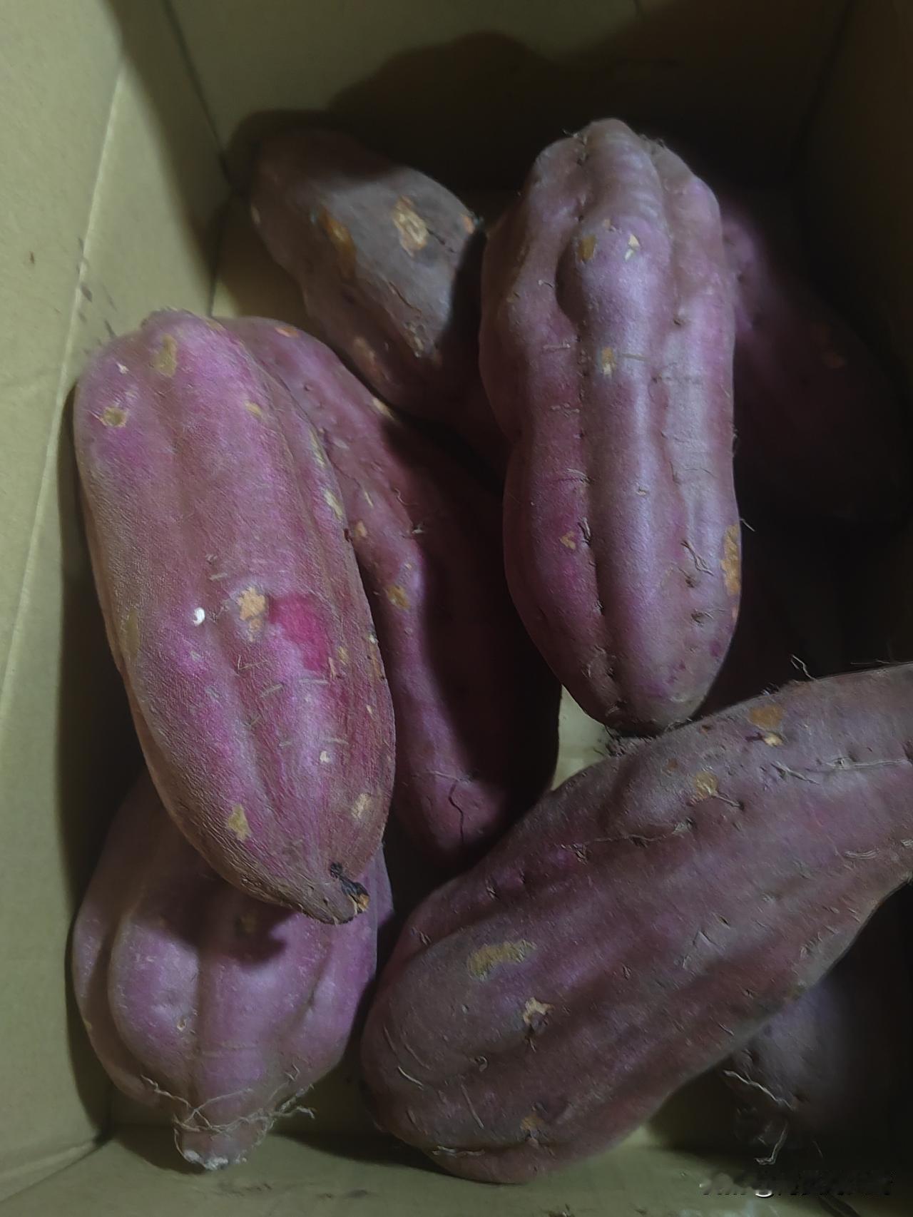 日本上的地瓜也不知道是什么品种，蒸熟了也特别的硬，感觉就是80年代最古老的那种地