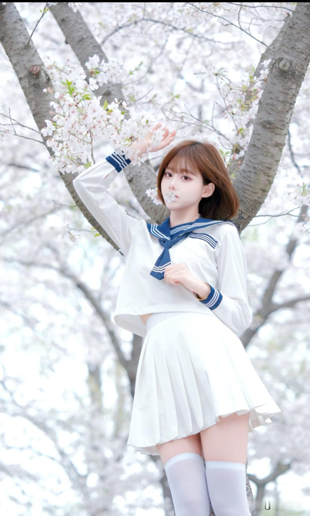 樱花树下的JK制服，把属于青春的温柔与浪漫都定格了
