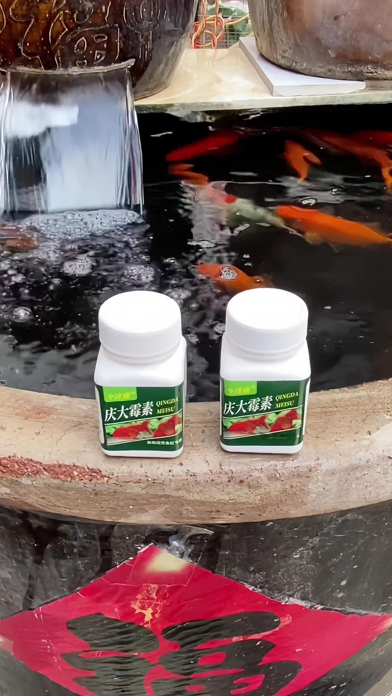 庆大霉素 养鱼日记 观赏鱼 观赏鱼交叉感染 新手养鱼