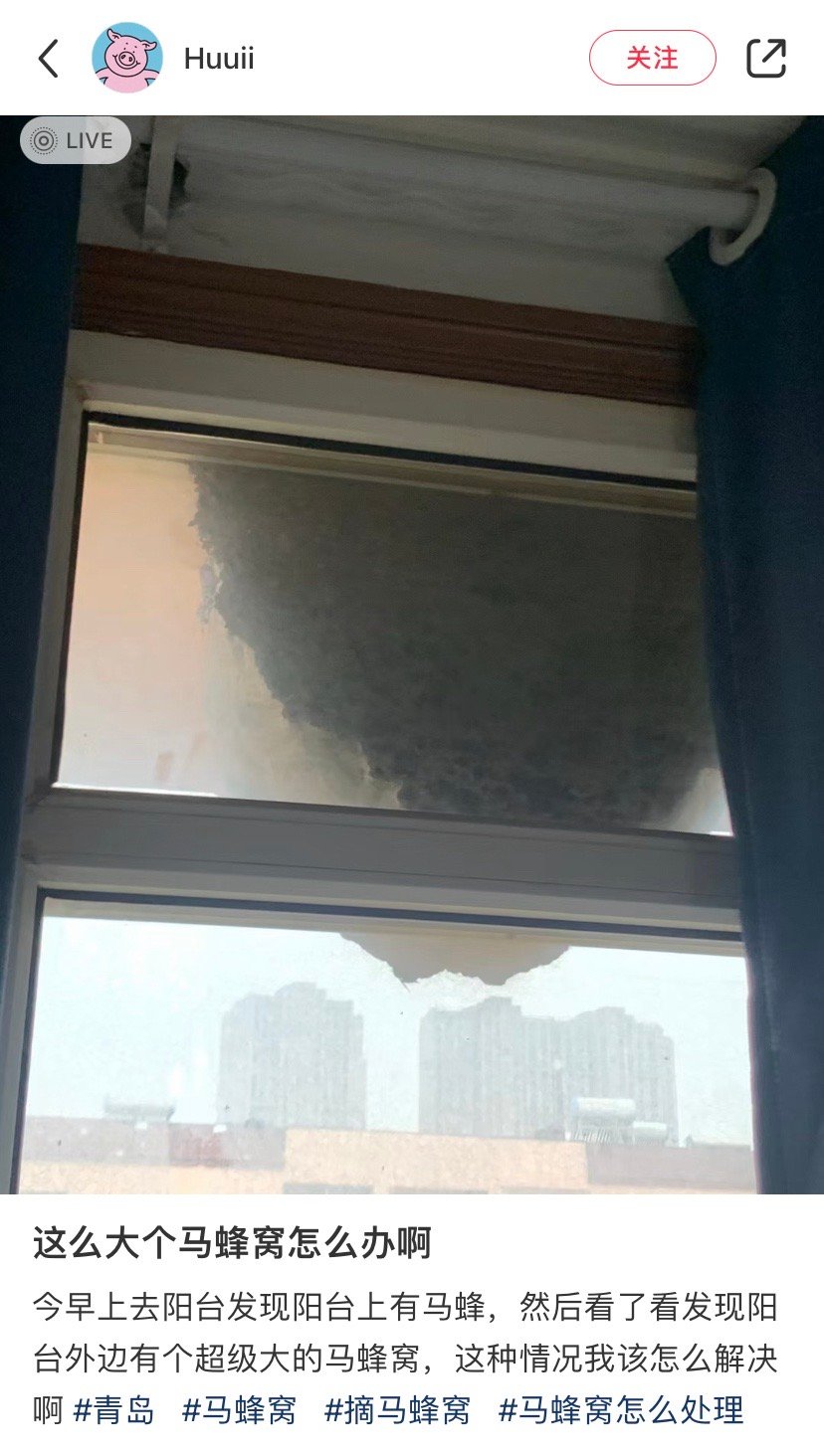 不说是马蜂窝还以为世界末日到了…… ​​​