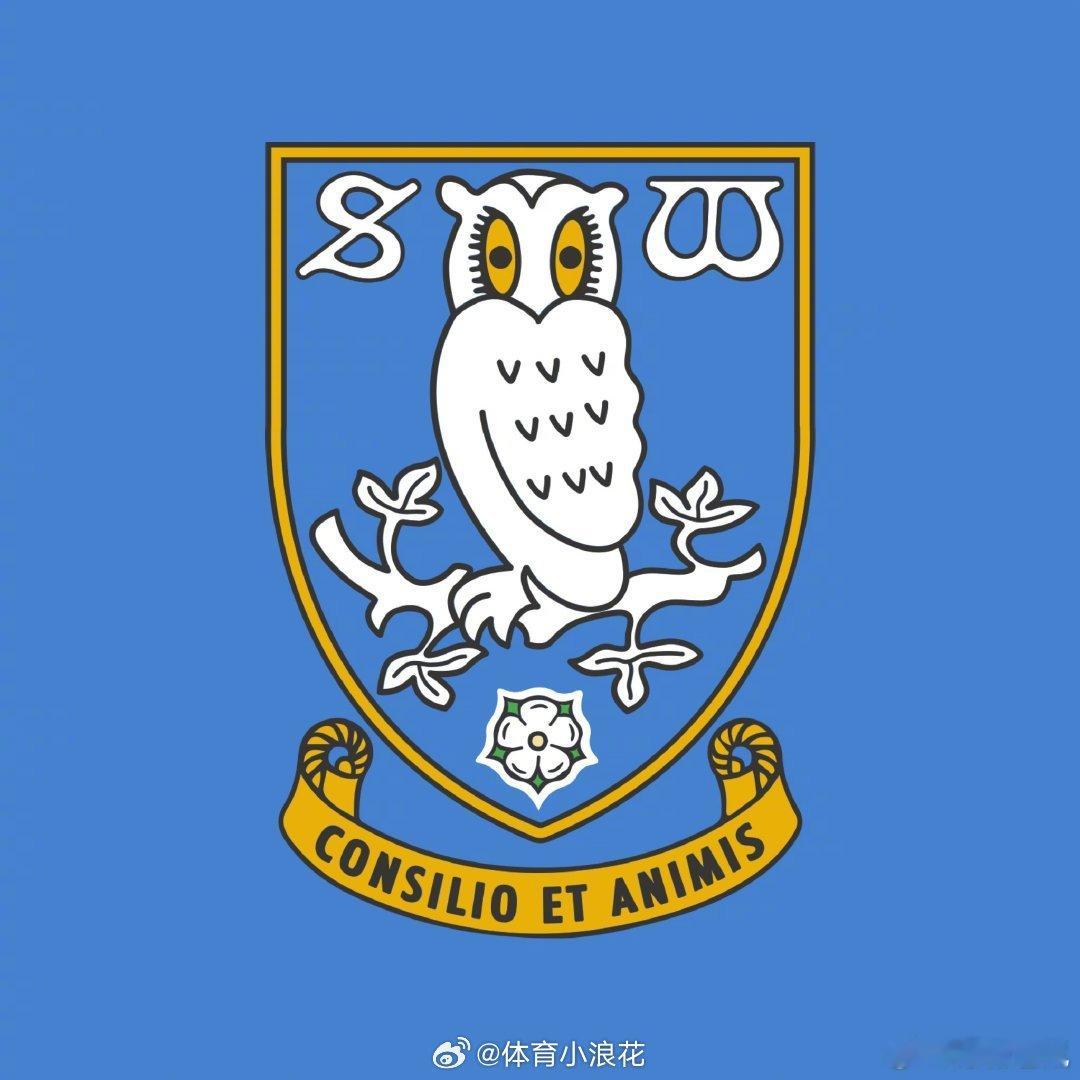 【官方】英冠的谢周三拖欠英国税务海关总署1M英镑的税款，进入破产托管程序，并被扣