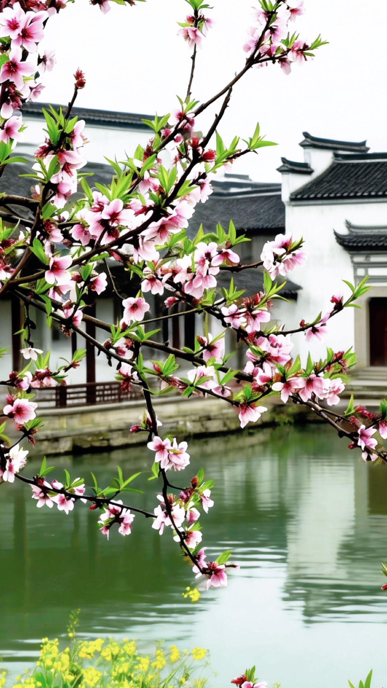 我的摄影日记，拍花成画 带你走进画里，静心看世界，唯美意境 把生活过成诗春天的花