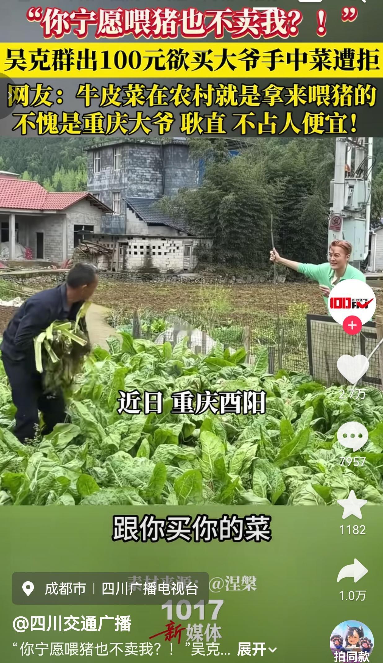 吴克群掏100块钱想买大爷手里的牛皮菜，大爷说啥都不卖，直言这菜就是拿来喂猪的，