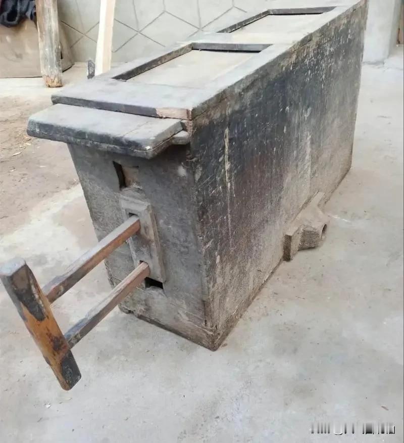 有人能叫出它的名字吗？