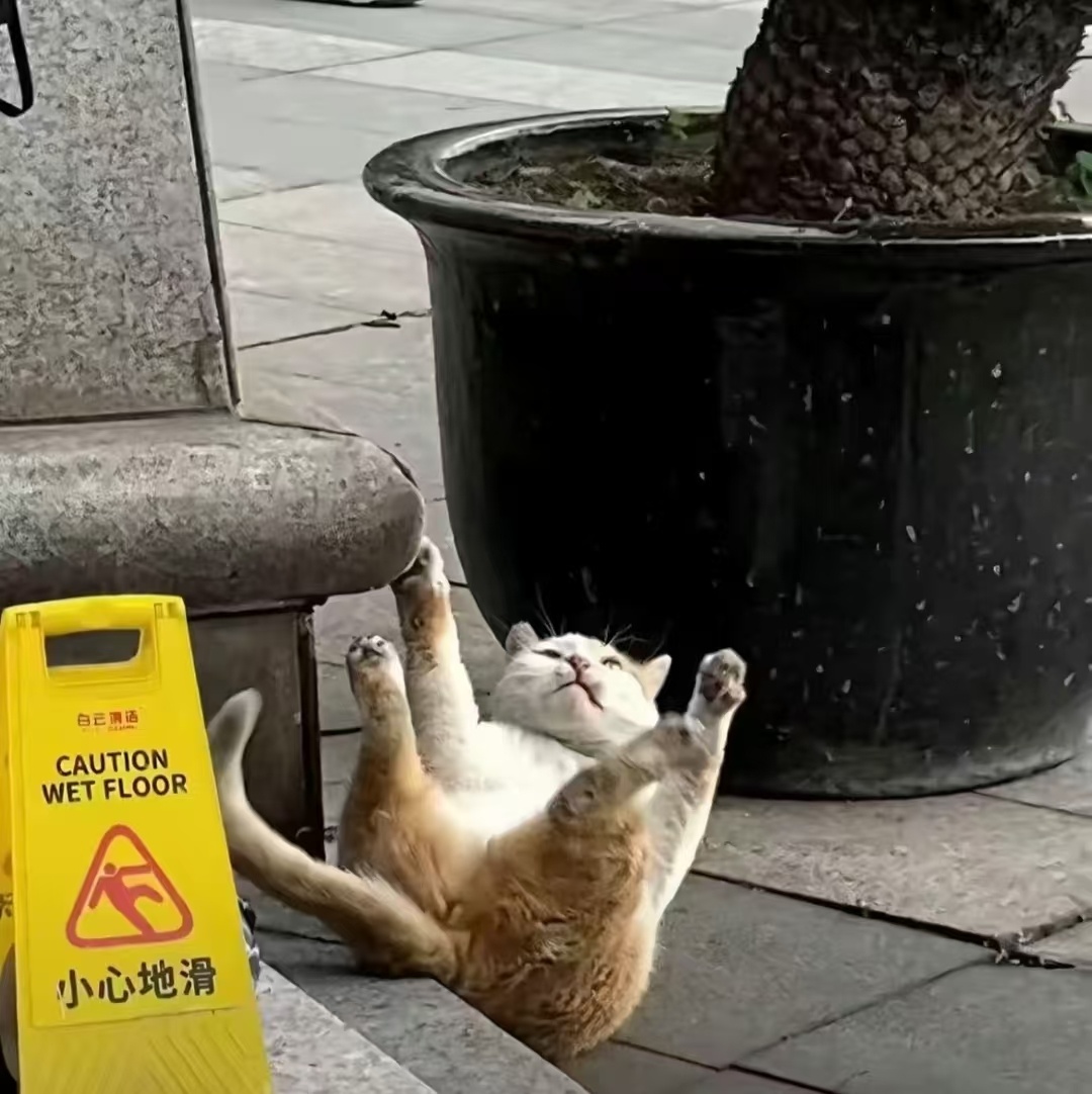 吃了没文化的亏了吧迷惑行为大赏