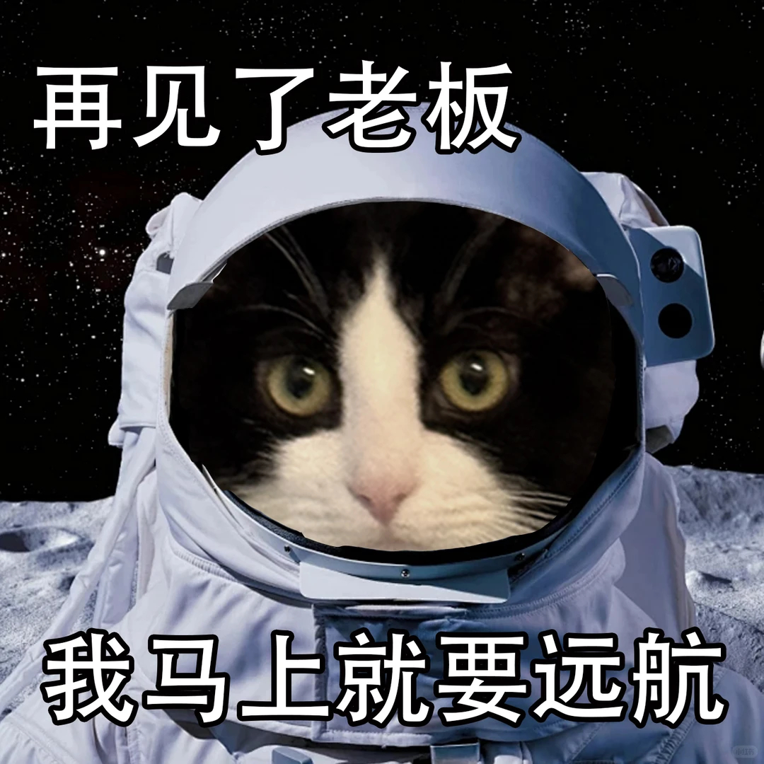 大风把美团风筝线吹断啦🌊我还在搬砖，风筝倒先去看海了，这自由谁不羡慕～美团这波